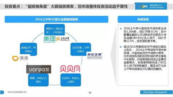 2016上半年中国股权投资市场全景透视 百页深度解析行业脉动